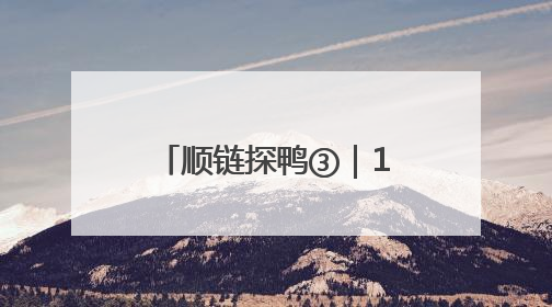 顺链探鸭③｜1个人就能管6万只鸭，养成一只鸭只需50多天
