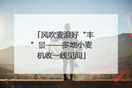 风吹麦浪好“丰”景——多地小麦机收一线见闻