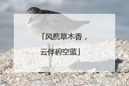 风携草木香，云伴碧空蓝