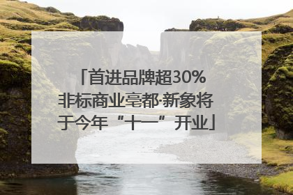 首进品牌超30% 非标商业亳都·新象将于今年“十一”开业