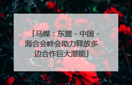 马媒：东盟－中国－海合会峰会助力释放多边合作巨大潜能