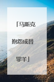 马斯克抱怨成替罪羊