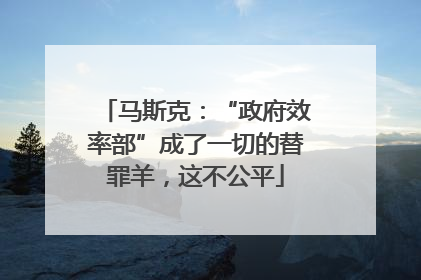 马斯克：“政府效率部”成了一切的替罪羊，这不公平