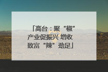 高台：聚“椒”产业促振兴 增收致富“辣”劲足