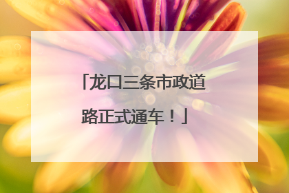 龙口三条市政道路正式通车！
