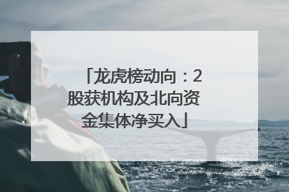 龙虎榜动向：2股获机构及北向资金集体净买入