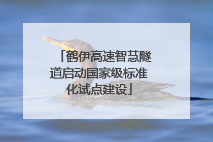 鹤伊高速智慧隧道启动国家级标准化试点建设