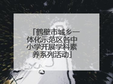 鹤壁市城乡一体化示范区各中小学开展学科素养系列活动