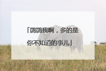 鹮鹮我啊，多的是你不知道的事儿