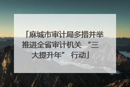麻城市审计局多措并举推进全省审计机关 “三大提升年” 行动