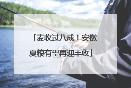 麦收过八成！安徽夏粮有望再迎丰收
