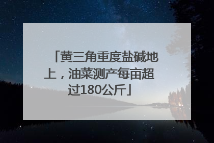 黄三角重度盐碱地上，油菜测产每亩超过180公斤