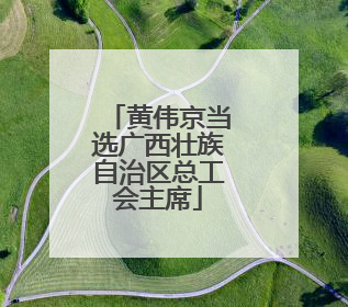 黄伟京当选广西壮族自治区总工会主席