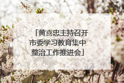 黄喜忠主持召开市委学习教育集中整治工作推进会
