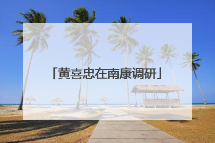 黄喜忠在南康调研