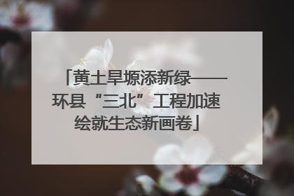 黄土旱塬添新绿——环县“三北”工程加速绘就生态新画卷