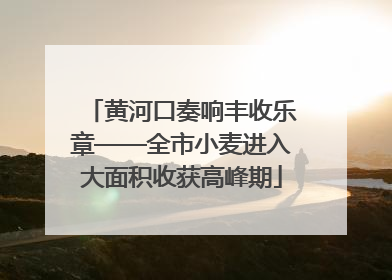黄河口奏响丰收乐章——全市小麦进入大面积收获高峰期