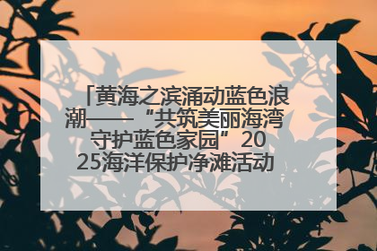 黄海之滨涌动蓝色浪潮——“共筑美丽海湾 守护蓝色家园”2025海洋保护净滩活动暨“美丽江苏—江河湖海青蓝行”海洋篇在连云港举行