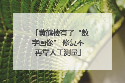 黄鹤楼有了“数字画像” 修复不再靠人工测量