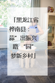 黑龙江省桦南县：“蒜”出振兴路 “园”梦新乡村