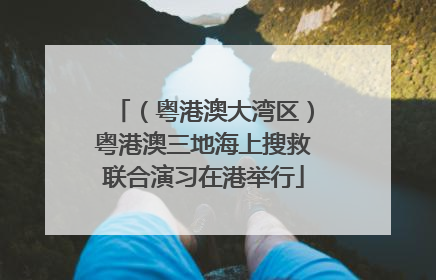 （粤港澳大湾区）粤港澳三地海上搜救联合演习在港举行