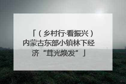 （乡村行·看振兴）内蒙古东部小镇林下经济“茸光焕发”