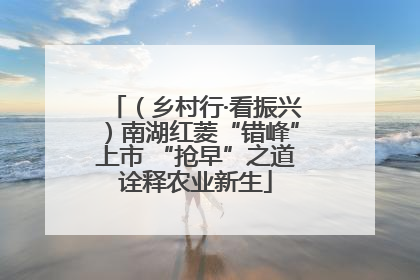 （乡村行·看振兴）南湖红菱“错峰”上市 “抢早”之道诠释农业新生