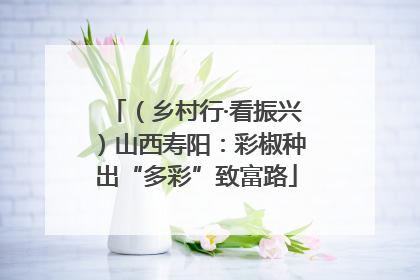（乡村行·看振兴）山西寿阳：彩椒种出“多彩”致富路