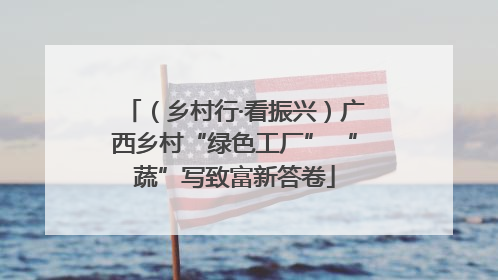 （乡村行·看振兴）广西乡村“绿色工厂” “蔬”写致富新答卷