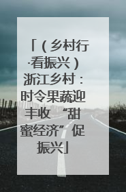 （乡村行·看振兴）浙江乡村：时令果蔬迎丰收 “甜蜜经济”促振兴
