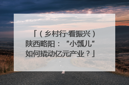（乡村行·看振兴）陕西略阳：“小瓢儿”如何撬动亿元产业？