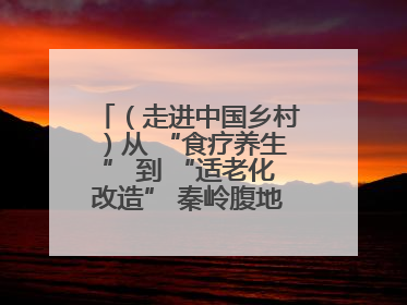 （走进中国乡村）从 “食疗养生” 到 “适老化改造” 秦岭腹地成康养“福地”