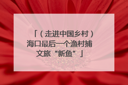 （走进中国乡村）海口最后一个渔村捕文旅“新鱼”