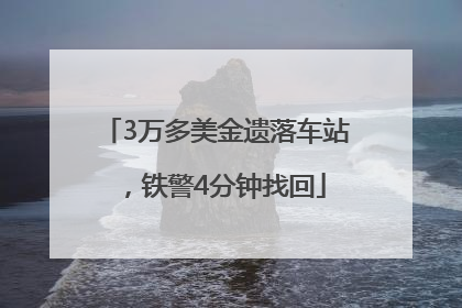 3万多美金遗落车站，铁警4分钟找回