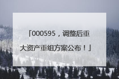 000595，调整后重大资产重组方案公布！