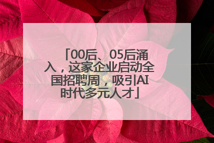 00后、05后涌入，这家企业启动全国招聘周，吸引AI时代多元人才