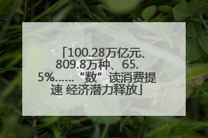 100.28万亿元、809.8万种、65.5%……“数”读消费提速 经济潜力释放