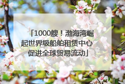 1000艘！渤海湾崛起世界级船舶租赁中心 促进全球贸易流动