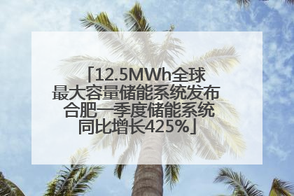 12.5MWh全球最大容量储能系统发布 合肥一季度储能系统同比增长425%
