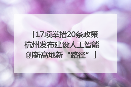 17项举措20条政策 杭州发布建设人工智能创新高地新“路径”