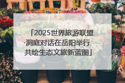 2025世界旅游联盟·洞庭对话在岳阳举行 共绘生态文旅新蓝图