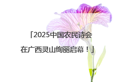 2025中国农民诗会在广西灵山绚丽启幕！