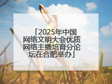 2025年中国网络文明大会优质网络主播培育分论坛在合肥举办