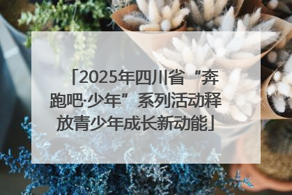 2025年四川省“奔跑吧·少年”系列活动释放青少年成长新动能