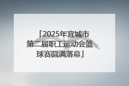 2025年宜城市第二届职工运动会篮球赛圆满落幕