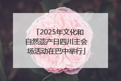 2025年文化和自然遗产日四川主会场活动在巴中举行