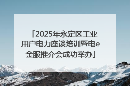 2025年永定区工业用户电力座谈培训暨电e金服推介会成功举办