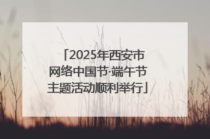 2025年西安市网络中国节·端午节主题活动顺利举行