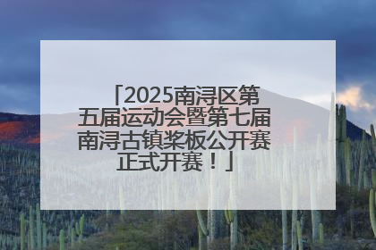 2025南浔区第五届运动会暨第七届南浔古镇桨板公开赛正式开赛！