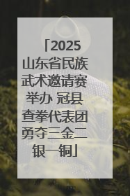 2025山东省民族武术邀请赛举办 冠县查拳代表团勇夺三金二银一铜